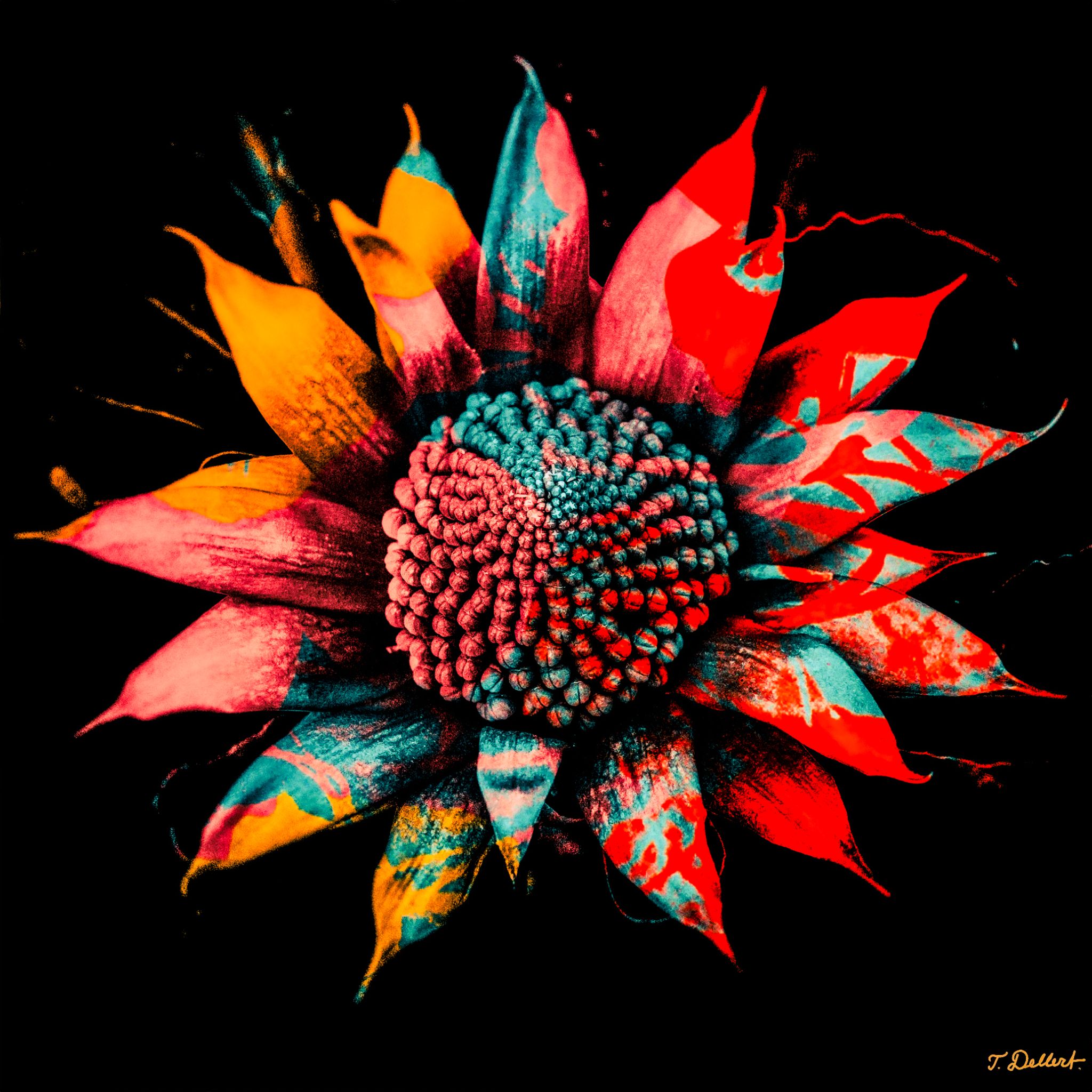 Warhol flower 
